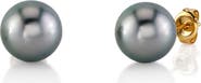 The Pearl Source Tahitian South Sea Silver Round Premier AAAA Pearl Stud Earrings