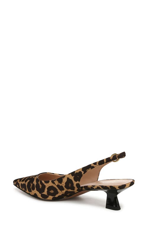 Franco Sarto Jaden Pointed Toe Slingback Pump In Brown