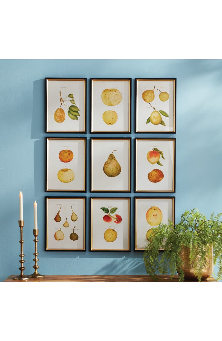 Napa Home & Garden Assorted Fruits Study Framed Wall Art Set of 9, Alternate, color, Black