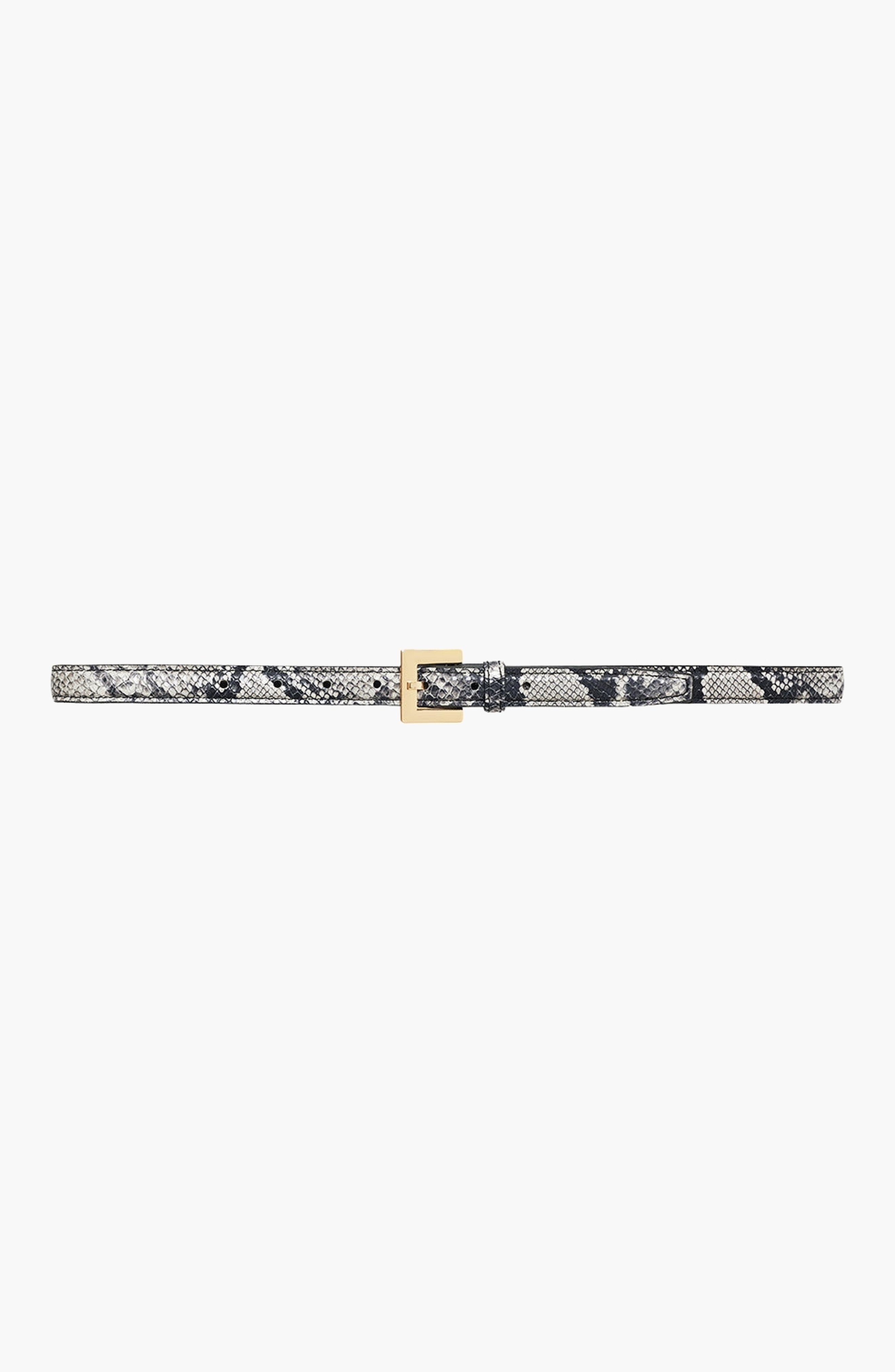 Black And White Snake