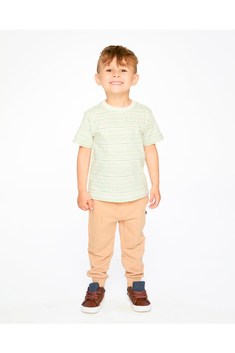 Organic Cotton Lines Short Sleeves T-Shirt, Alternate, color, White Printed Mint Green Lines