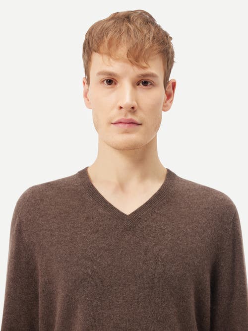 Gobi Mongolian Cashmere V-neck Sweater In Cocoa