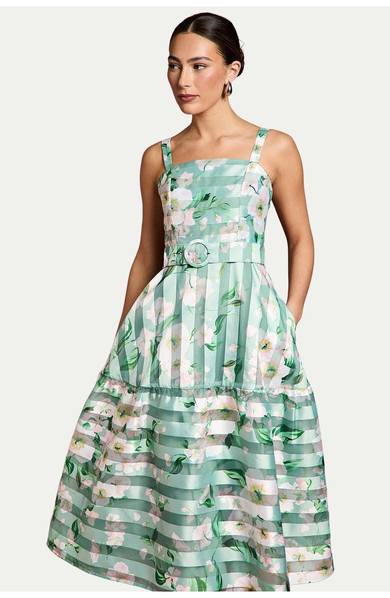 Coast Burnout Organza Midi Dress, Alternate, color, Sage
