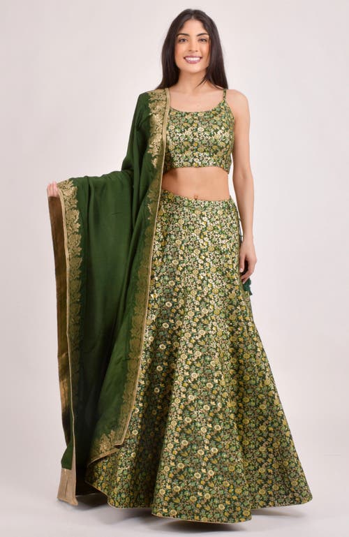 Raas Beryl Banarasi Lehenga Choli Set