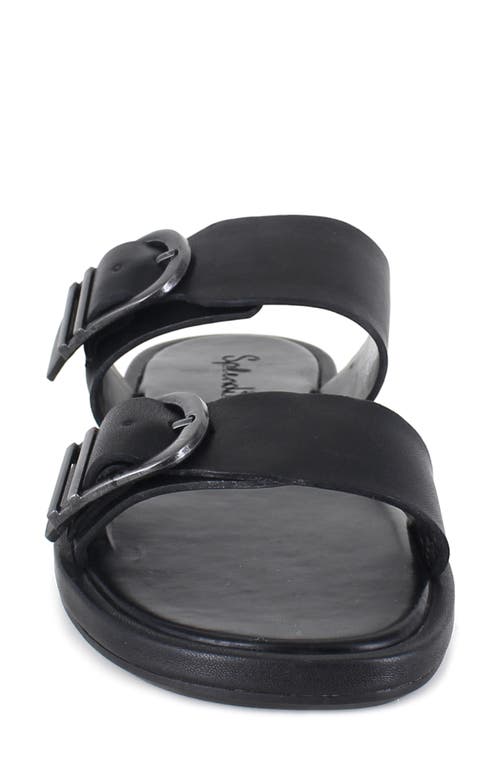 Splendid Women's Farrin Slip On Buckled Slide Sandals In Black