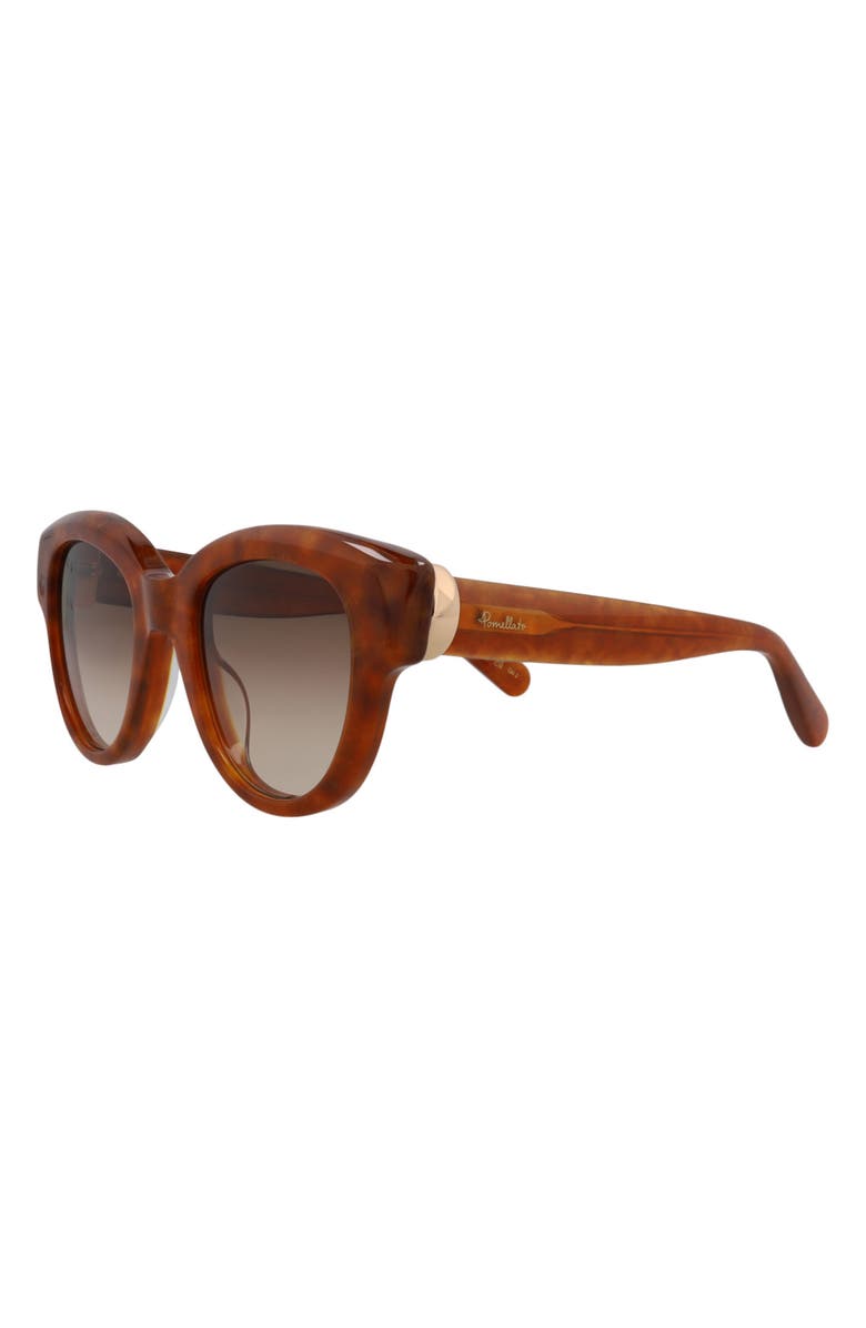 Pomellato 49mm Novelty Round Sunglasses, Alternate, color, Havana Havana Brown