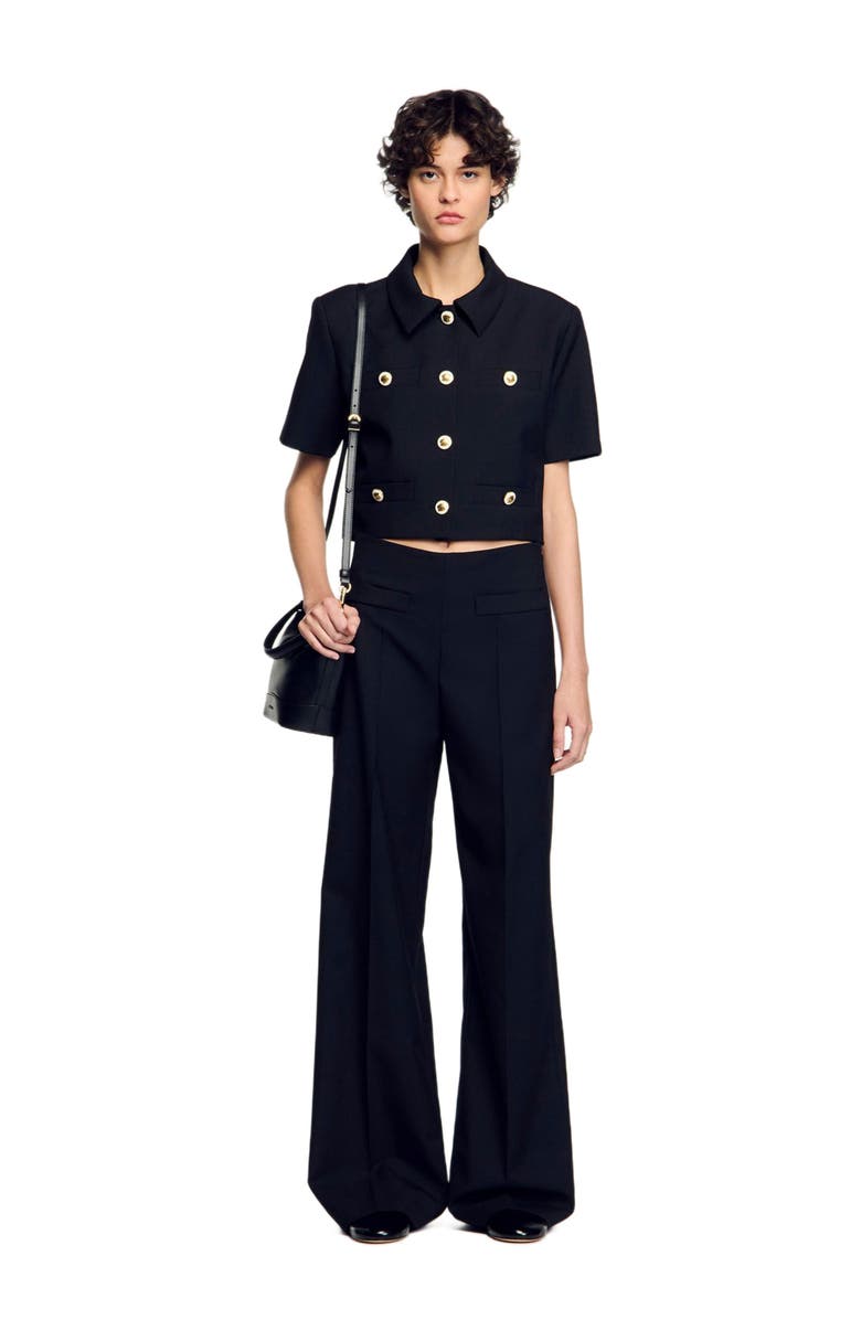 SANDRO Suit trousers, Alternate, color, Black