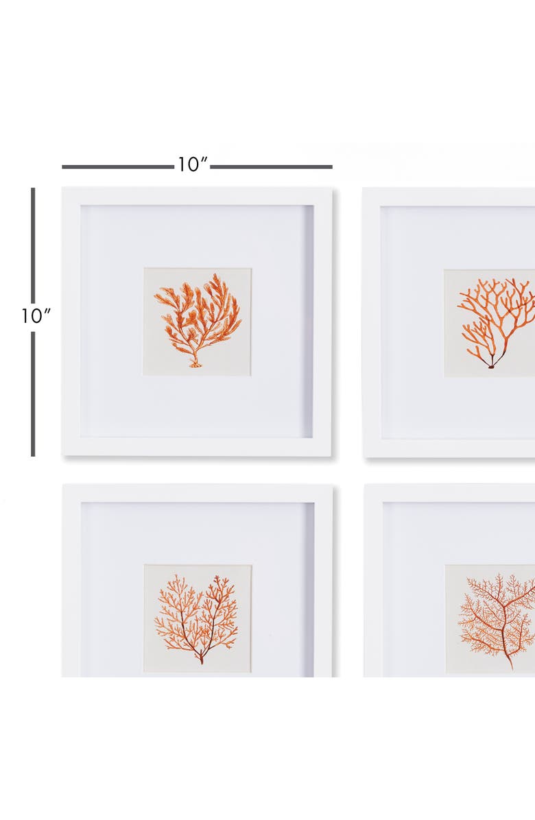 Napa Home & Garden Branch Coral Petite Prints Set of 4, Alternate, color, 