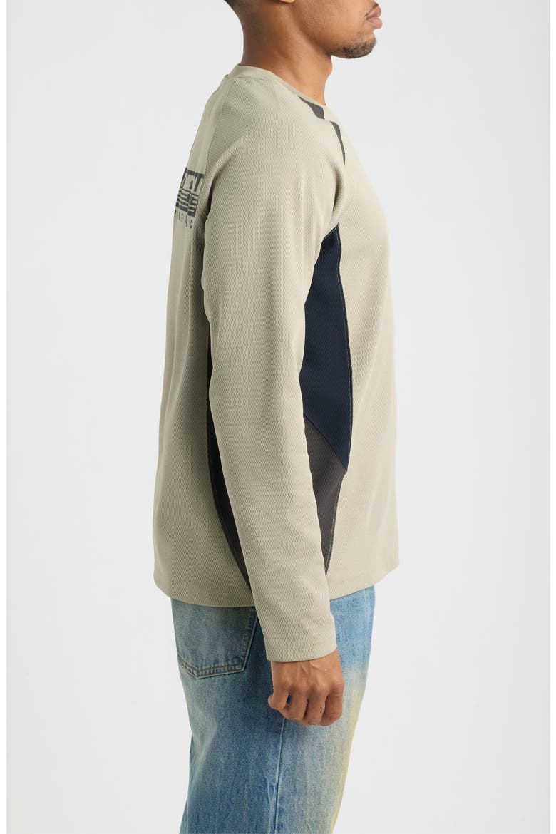 Delta Knit Long Sleeve Graphic T-Shirt, Alternate, color, DRIED SAGE MULTI