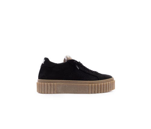 P448 Creeper Sneaker In Carbon