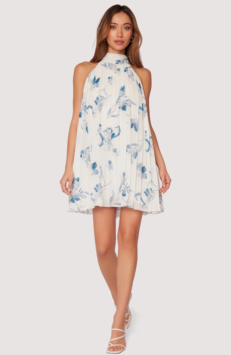 Lost + Wander Carolina Garden Pleated Trapese Minidress, Alternate, color,