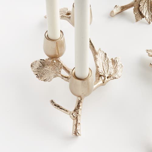 Napa Home & Garden Parna Taper Candle Holders Set Of 6 In Gold