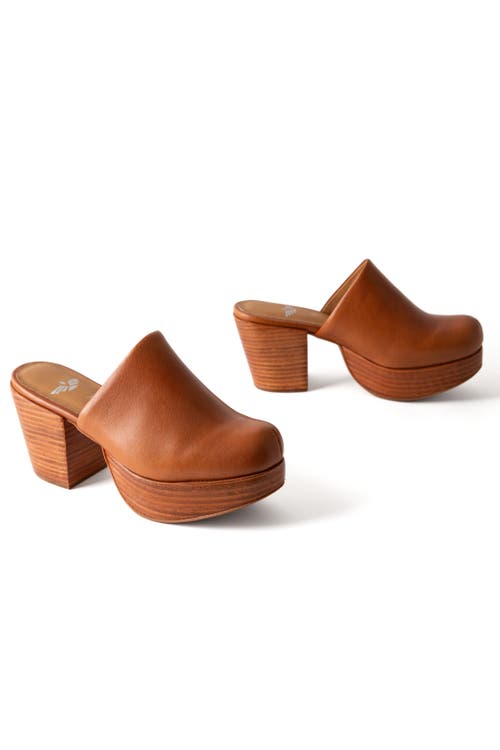 Fortress Ava Leather Clog Mule In Whiskey