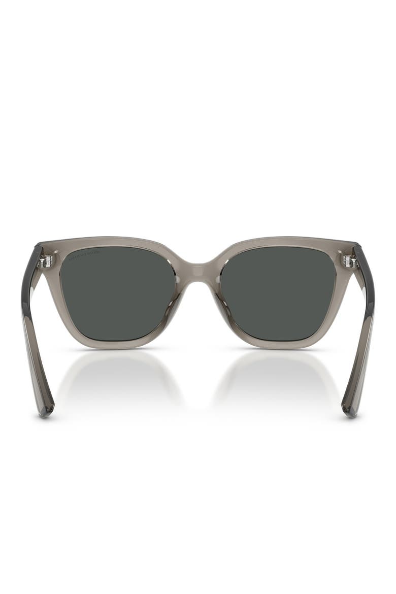 53mm Cat Eye Sunglasses, Alternate, color, SHINY GREY / DARK GREY