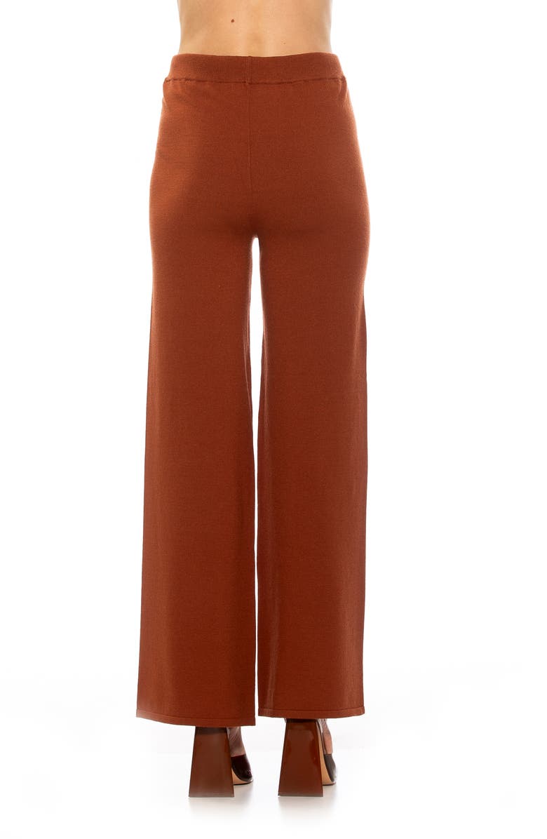 Alexia Admor Theana High Waist Flare Pants, Alternate, color, Brown