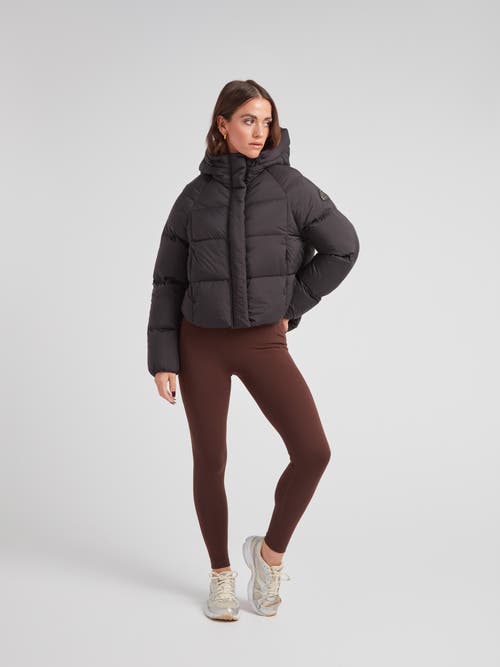 Jack1t Cloud Cropped Hooded Puffer Jacket In Black
