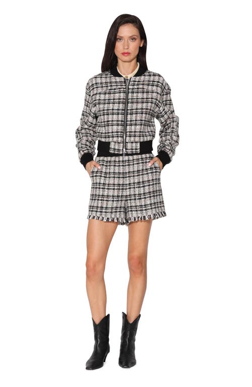 Walter Baker Raina Tweed Bomber Jacket In Montauk Tweed