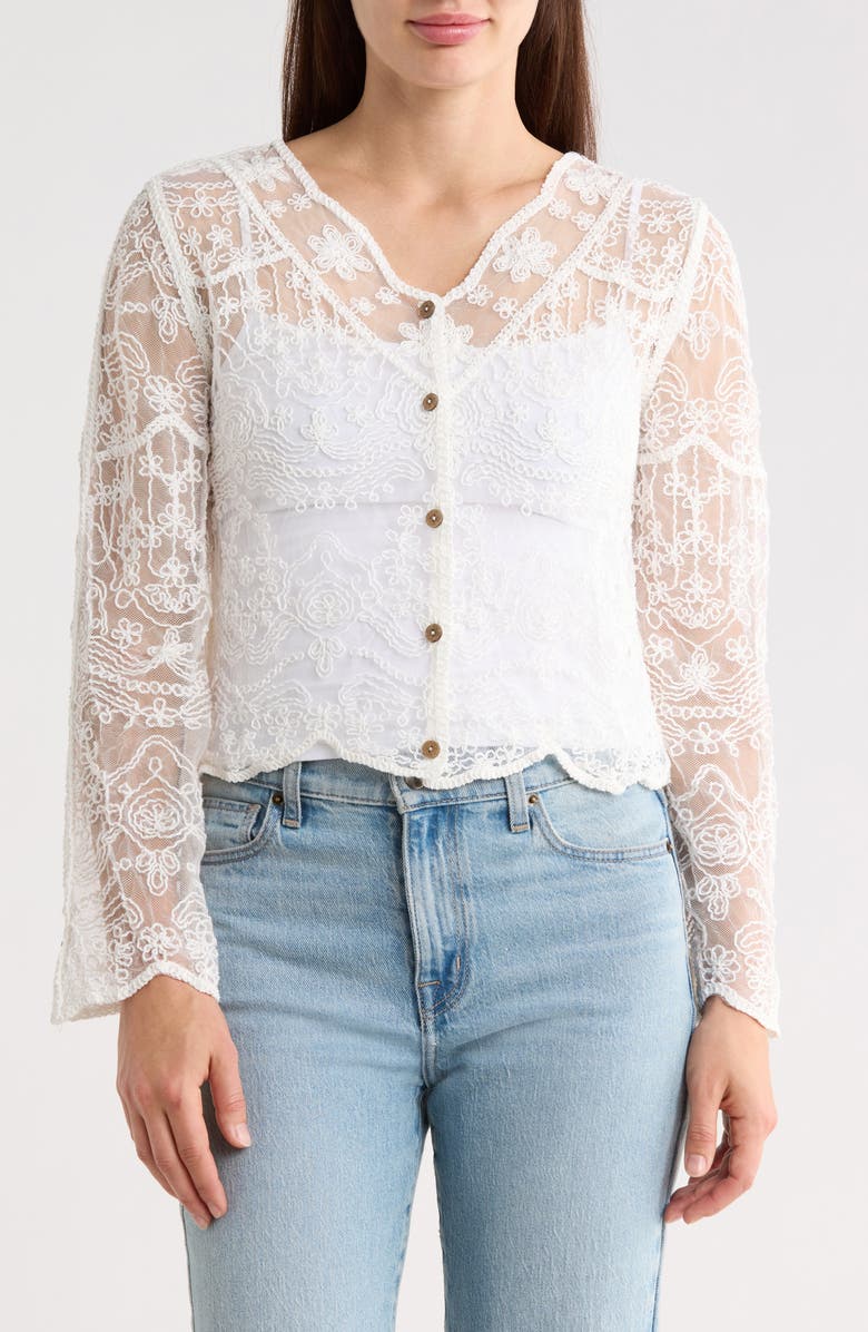 Forgotten Grace Embroidered Mesh Long Sleeve Top, Main, color, Natural