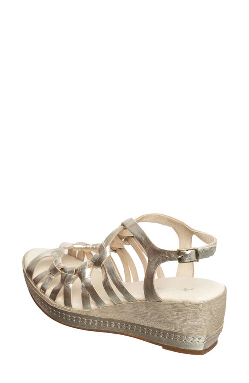 Antelope Genna Platform Wedge Sandal In Gold