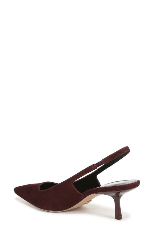 Veronica Beard Cashel Slingback Pointed Toe Pump In Burgundy