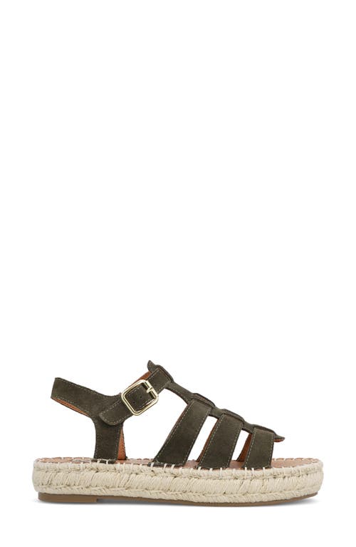 Shop Mia Limited Edition Danette Platform Gladiator Sandal In Khaki