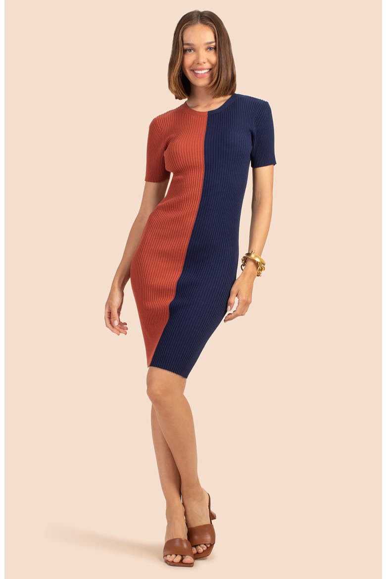 Vivika Colorblock Minidress, Alternate, color, CINNAMON/ INDIGO