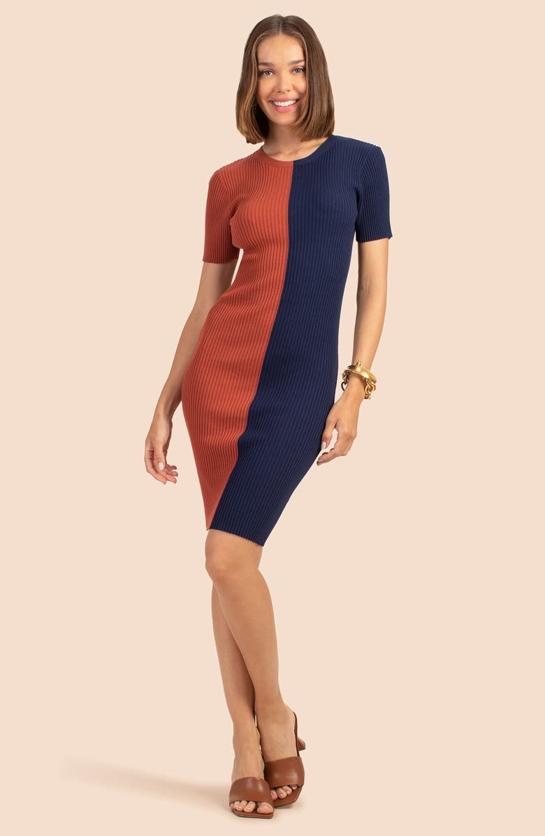 Trina Turk Vivika Colorblock Minidress, Alternate, color, Cinnamon/ Indigo