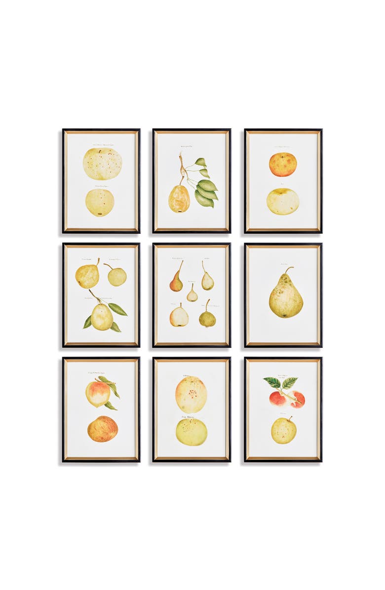 Napa Home & Garden Assorted Fruits Study Framed Wall Art Set of 9, Main, color, Black
