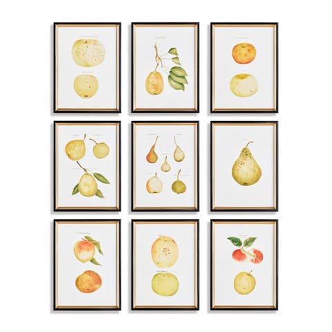 Assorted Fruits Study Framed Wall Art Set of 9