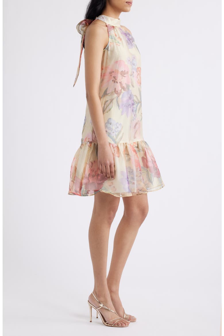 Sleeveless Ruffle Hem Organza Dress, Alternate, color, YELLOW