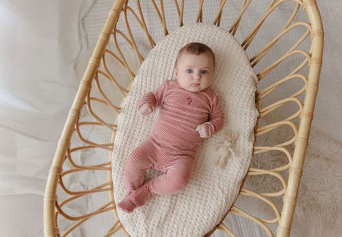 Ely's & Co. Velour Stripe Collection In Brown