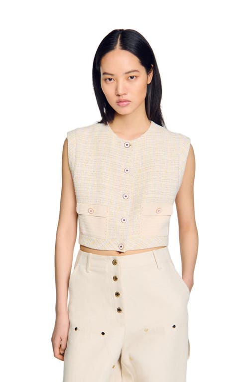 Sandro Decorative Tweed Jacket In Neutral