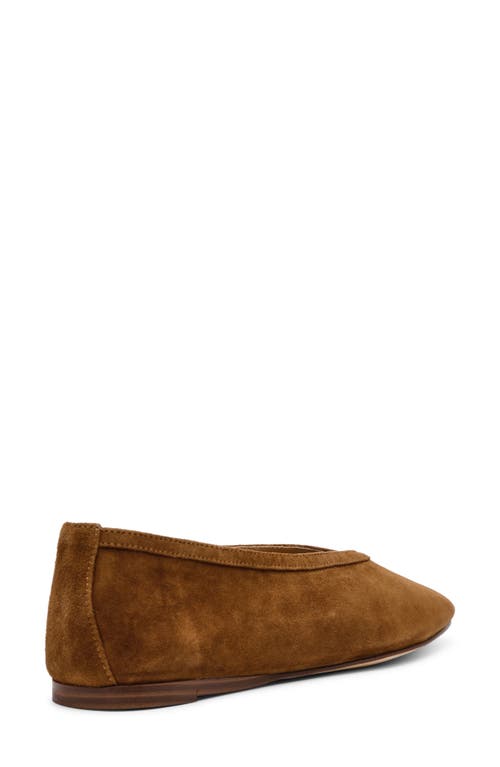 Steve Madden Leni Flat In Chestnut Suede