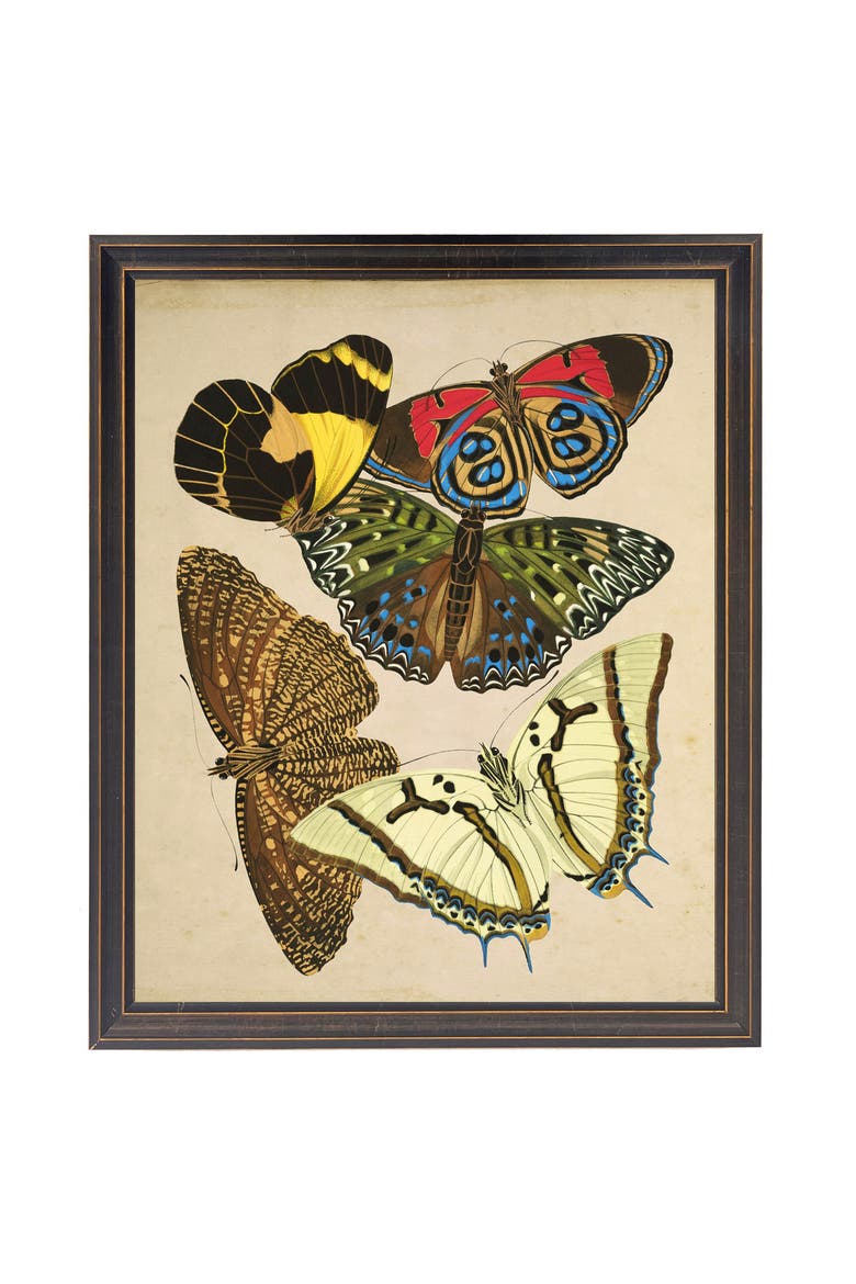 Multicolored Butterflies in Black and Gold Frame, Main, color, Multi