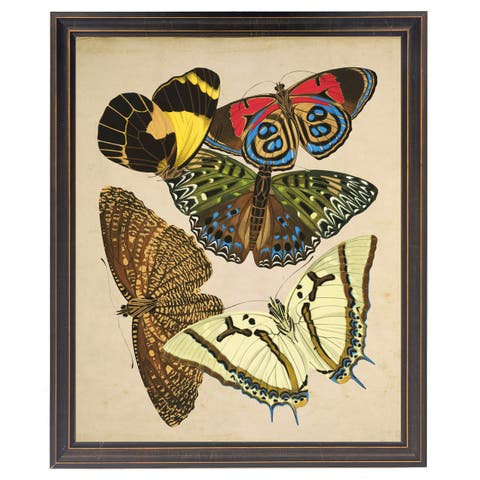 Multicolored Butterflies in Black and Gold Frame