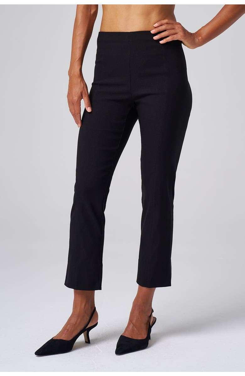 Franne Golde Cropped Stretch Magic Pant, Alternate, color, Black