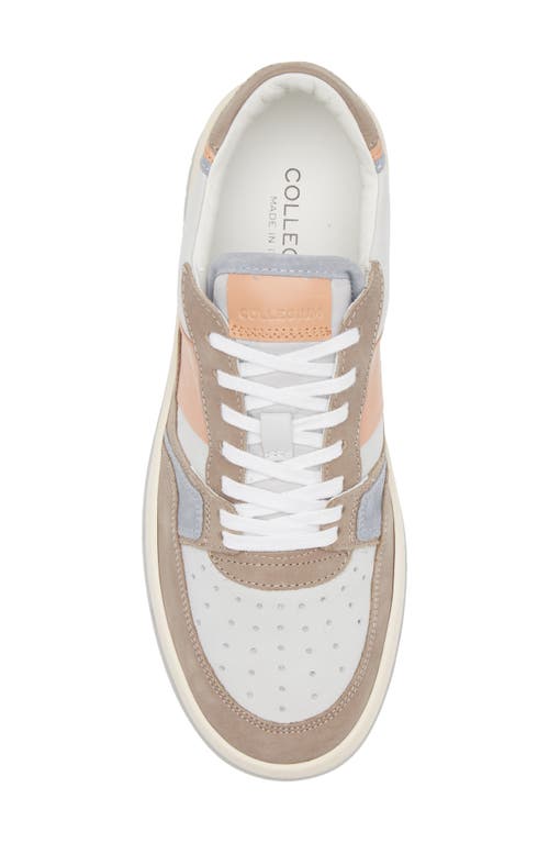 Collegium Alpha Sneaker In Multi