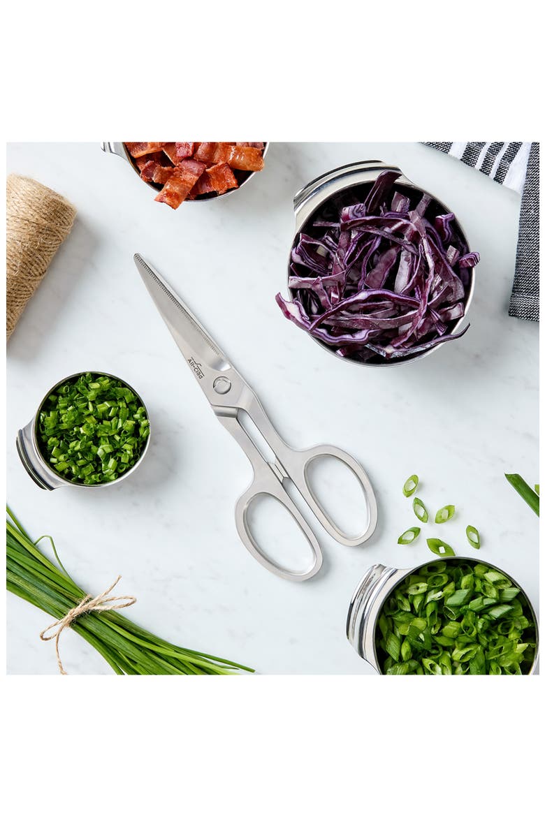 German Stainless Steel Kitchen Shears, Alternate, color, SILVER