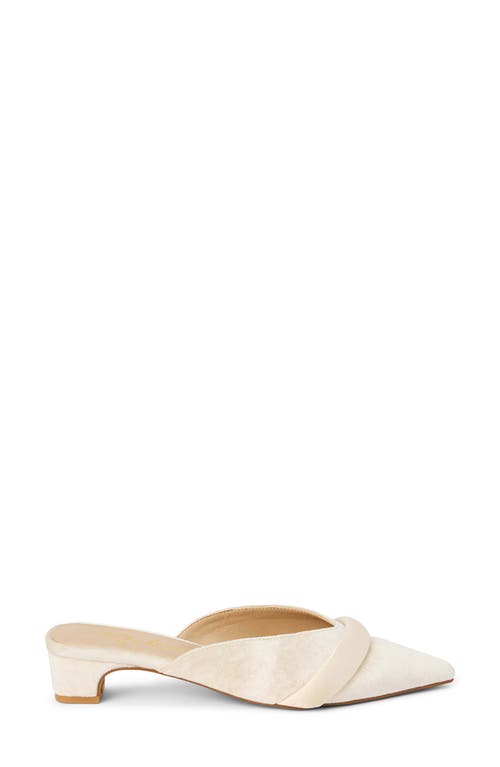 Matisse Kellan Pointed Toe Mule