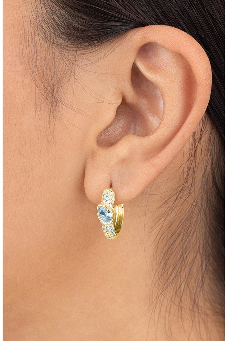 Daniela Pavé Cubic Zirconia Huggie Hoop Earrings, Alternate, color, GOLD