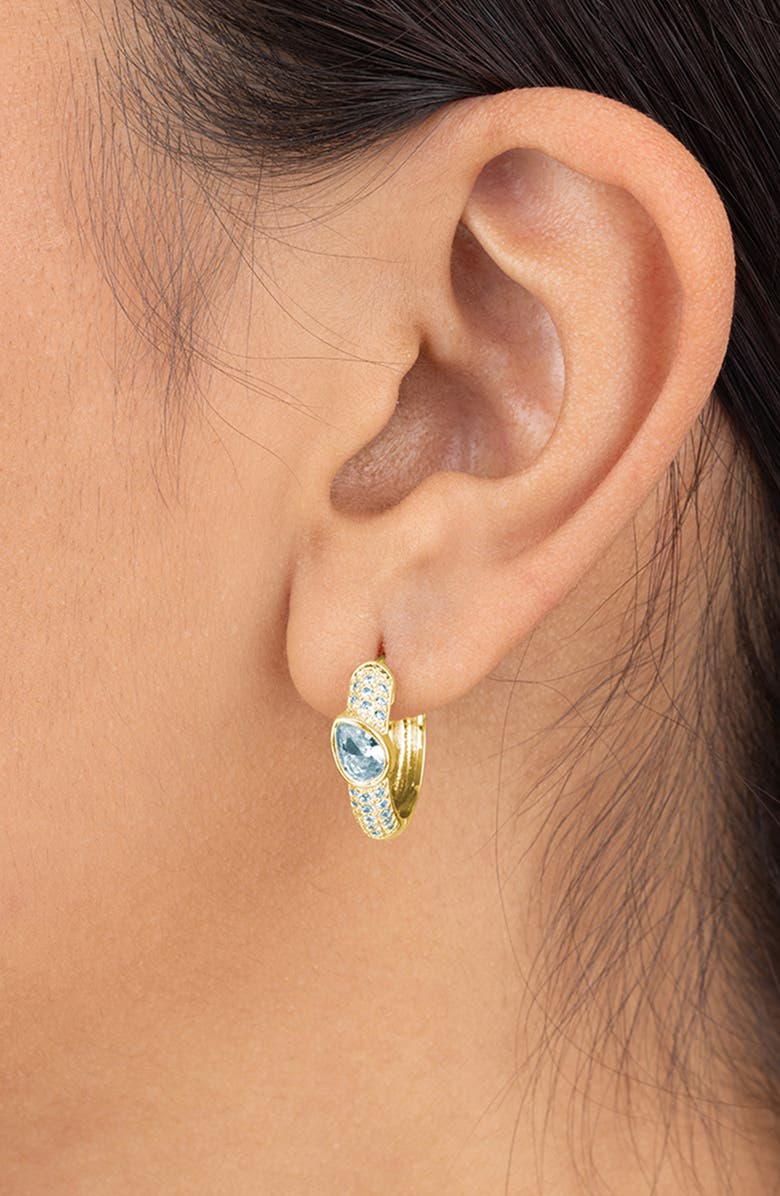 Sterling Forever Daniela Pavé Cubic Zirconia Huggie Hoop Earrings, Alternate, color, Gold