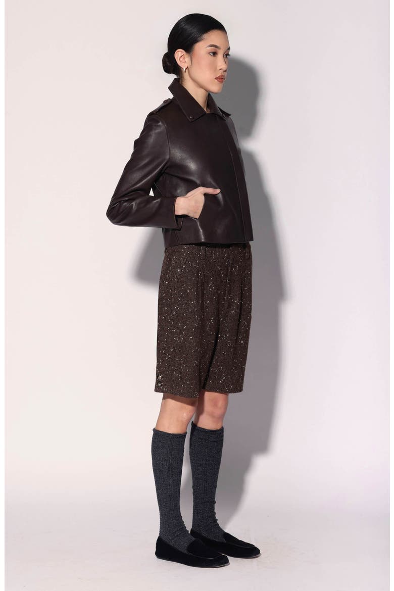 Trevor Leather Jacket, Alternate, color, Mocha