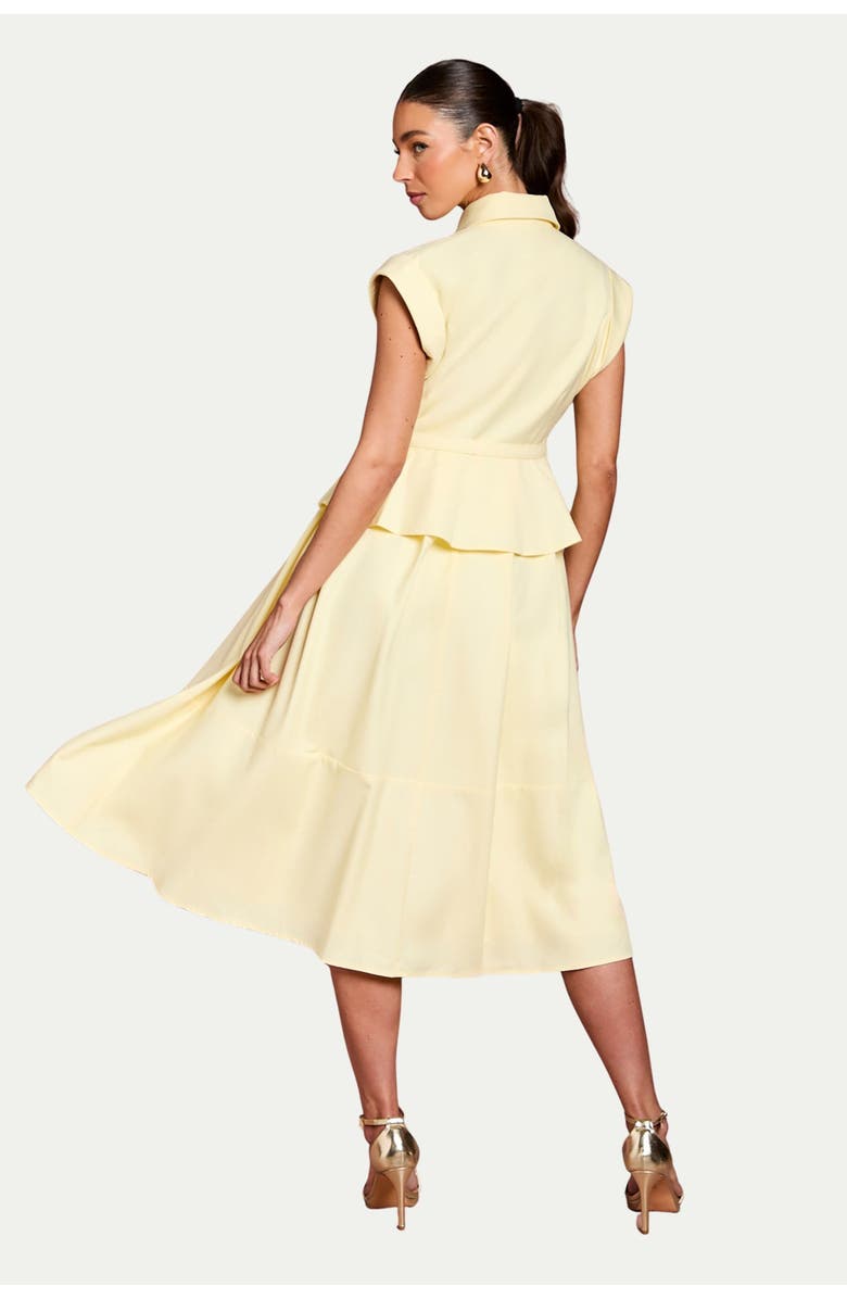 Coast Peplum Detail Belted Shirt Dress, Alternate, color, Lemon