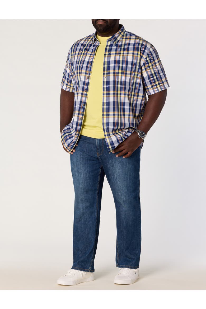 Big & Tall Easy-Care Medium Plaid Sport Shirt V9, Alternate, color, BLUE MULTI
