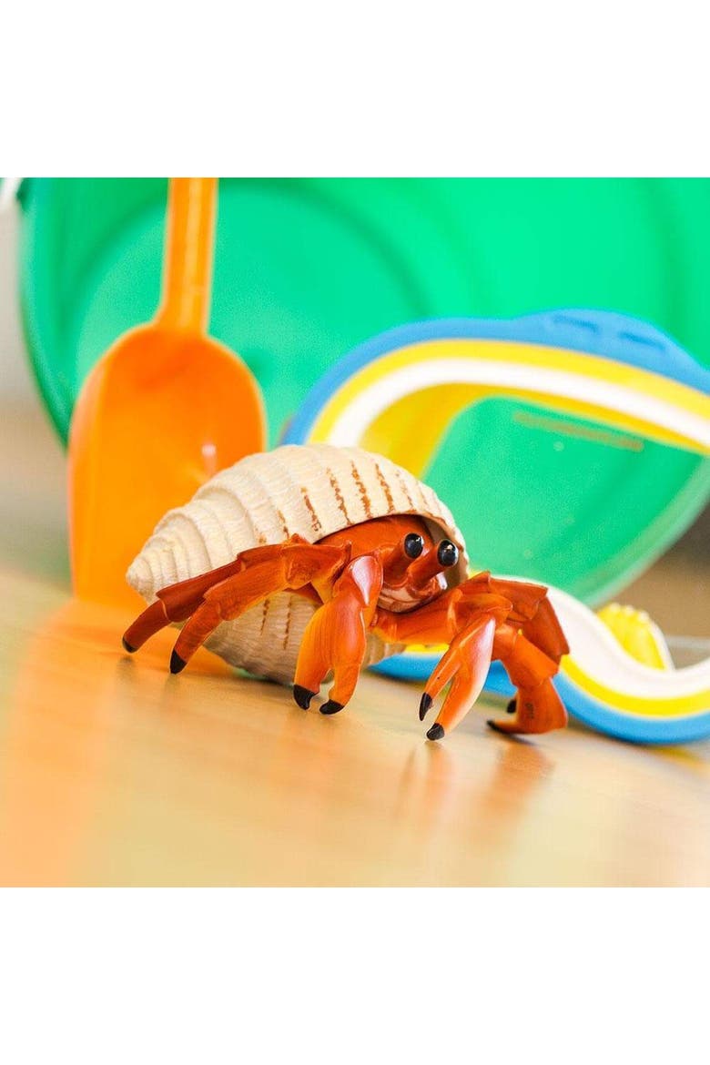 Hermit Crab Toy, Alternate, color, No Color