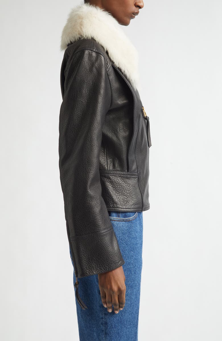 Balmain Genuine Shearling Collar Leather Biker Jacket, Alternate, color, Ecru/Jet Black/ Natural