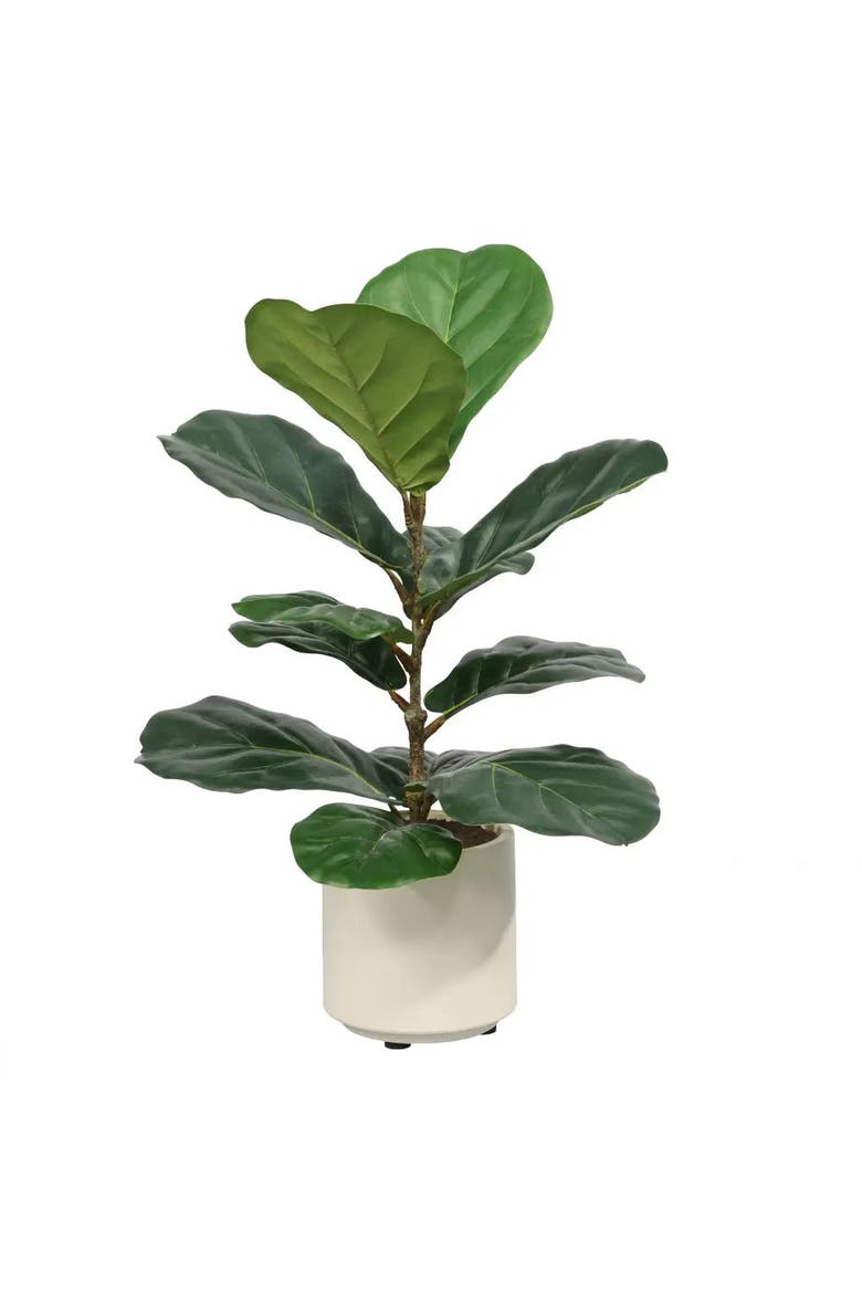 CG Hunter 2' Artificial Fiddle Leaf Fig Tree in Pot | Nordstrom