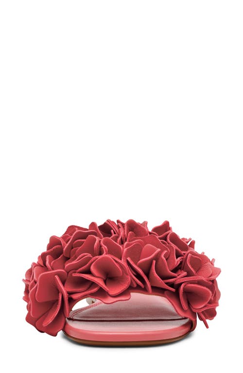 Steve Madden Flo Slide Sandal In Coral