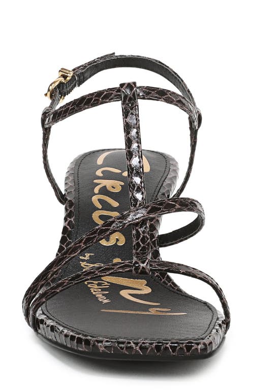 Circus Ny By Sam Edelman Jaida Snakeskin Embossed Strappy Sandal In Black
