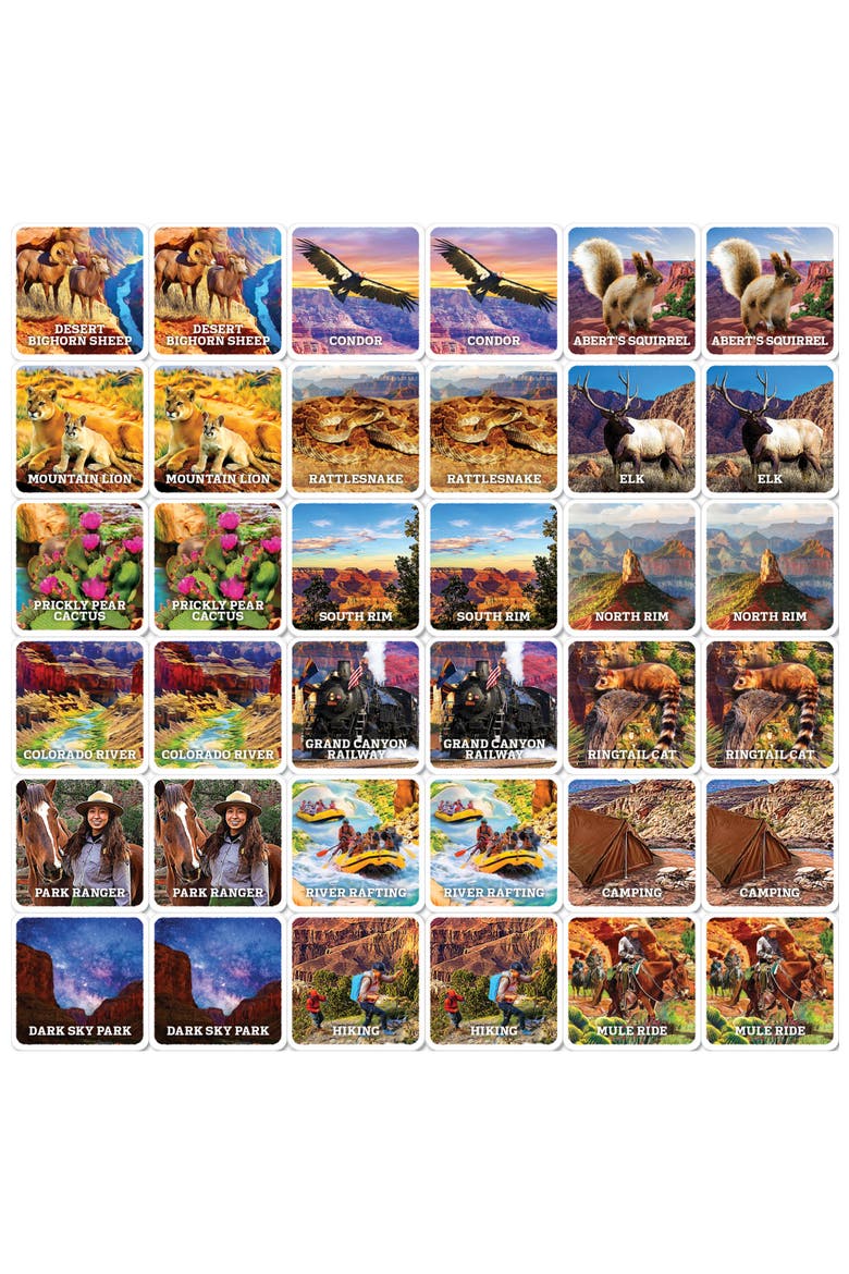 Jr. Ranger - Grand Cayon Matching Game, Alternate, color, Multicolor